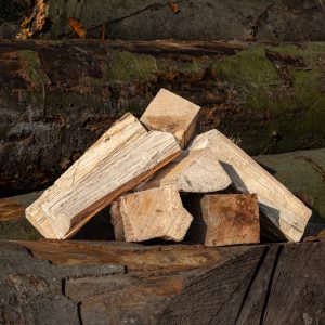 Grenzwald Brennholz Buche