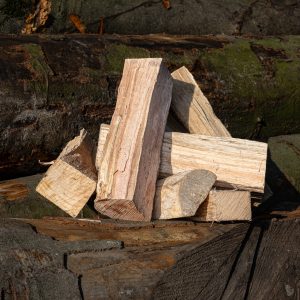 Grenzwald Brennholz Laubhartholzmix