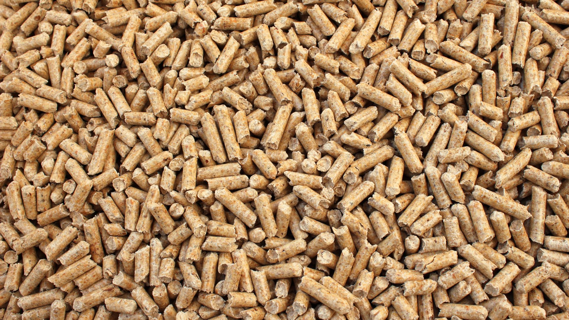 Holzpellets
